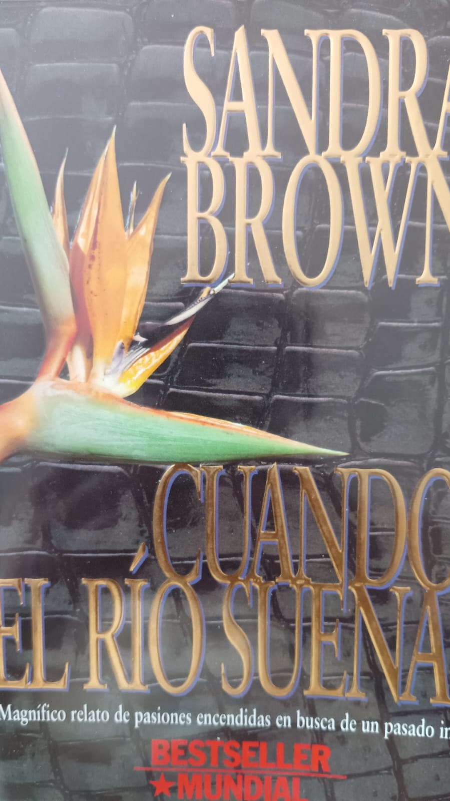 Cuando el río suena SANDRA BROWN