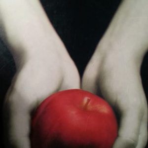 Crepusculo STEPHENIE MEYER