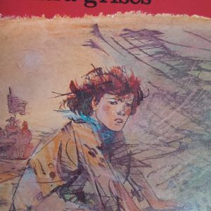 AZULES CONTRA GRISES William Camus