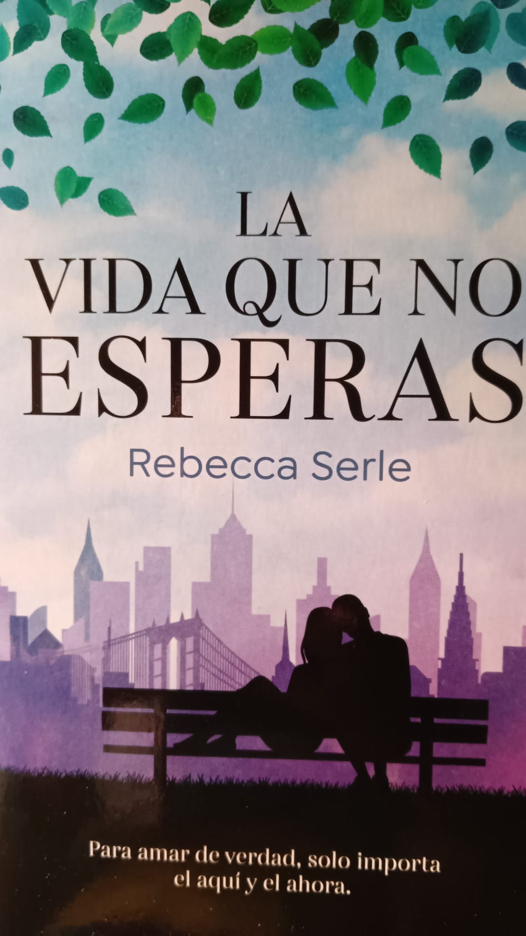 La vida que no esperas REBECCA SERLE