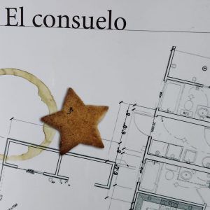 EL CONSUELO Anna Gavalda
