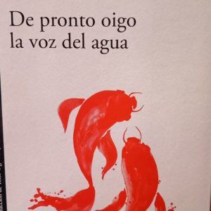 DE PRONTO OIGO LA VOZ DEL AGUA Hiromi Kawakami