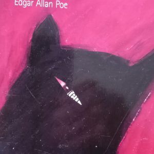 EL GATO NEGRO Y OTROS CUENTOS Edgar Allan Poe