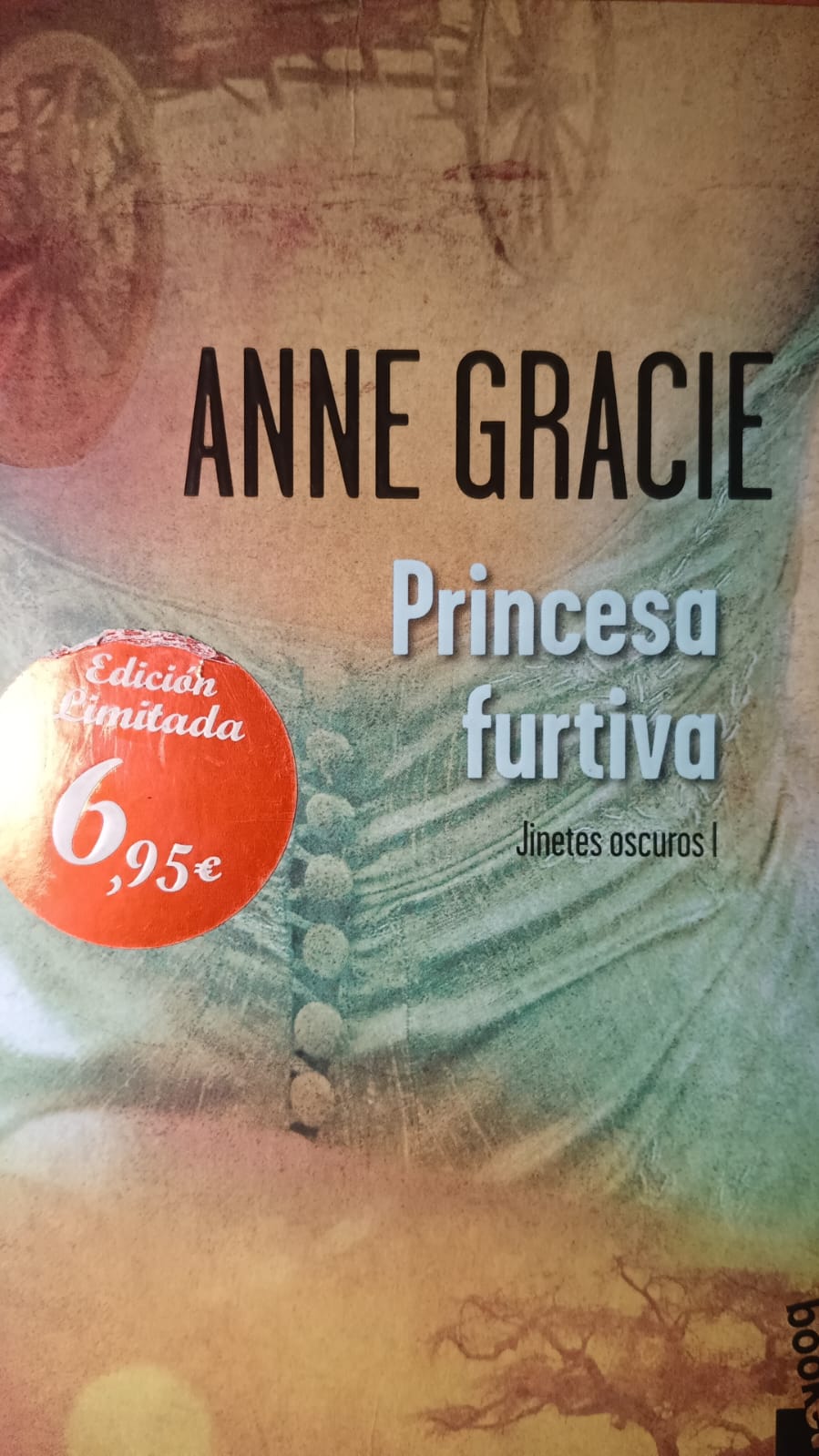 Princesa furtiva Anne Gracie JINETES OSCUROS I