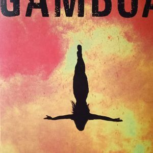 REDENCIÓN Fernando Gamboa