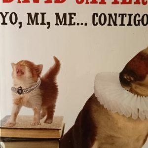 YO, MI, ME... CONTIGO David Safier